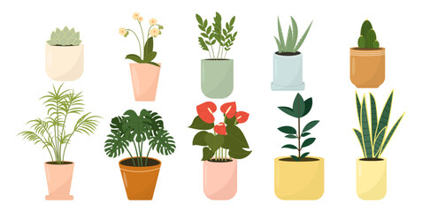 Fototapeta premium Сollection of indoor potted plants. Popular houseplants such as succulents, cacti, monstera, palm, anthurium, sansevieria, orchid, aloe vera and ficus. Vector illustration, flat style.