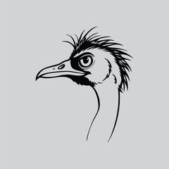 Emu Head design Concept