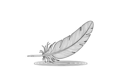 Delicate Feather Floating on Water Surface Gentle Ripples Serene Tranquil Natural Beauty