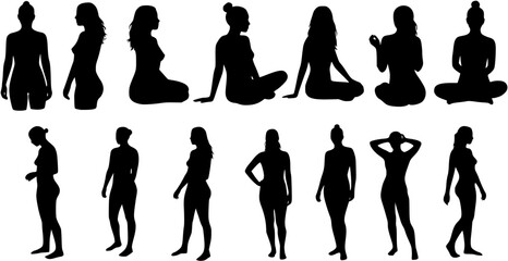 Nude woman silhouettes vector
