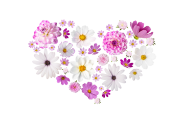 Mockup heart of aster, dahlia, and cosmea flowers isolated on transparent background. A design element for postcards Happy Mother's Day, happy Easter, March 8th, happy birthday