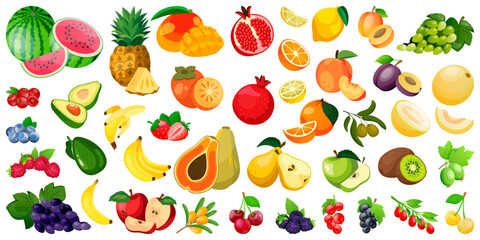 Fresh tropical fruits set. Vector berries illustration. Healthy vegan food, farming and harvest design elements