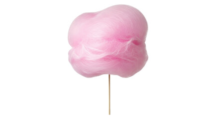 Isolated Pink Cotton Candy on a Stick