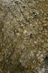 Texture variations in nature and their significance