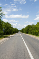 A road with trees on either side