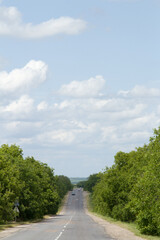 A road with trees on both sides