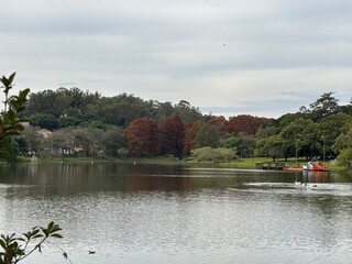 The forest garden in Avare, the city's main park. Sao Paulo State, Brazil.
