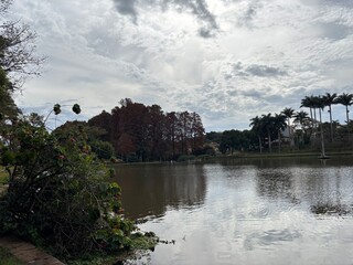 The forest garden in Avare, the city's main park. Sao Paulo State, Brazil.