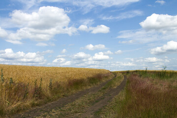 A dirt road through a field