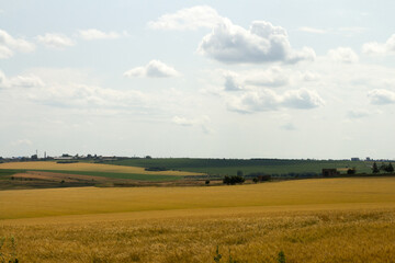 A large field with a few buildings in the distance