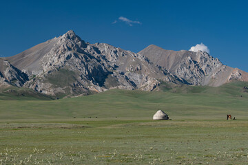 Mountain landscape with white yourt and a horse on a green pasture meadow and rocky mountains and blue sky in the background. Song Kul lake, Naryn Region, Kyrgyzstan, Central Asia.