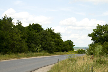 A road with trees on the side