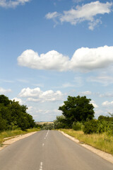 Naklejka premium A road with trees on either side