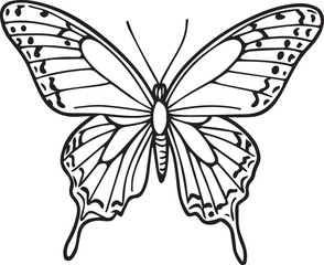 Cute Butterfly Sideways Vector
