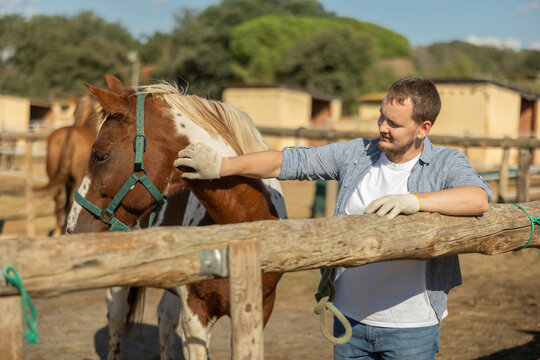Happy man leading horse by bridle for walk in the pasture