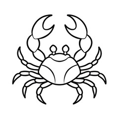 crab spider on a white background