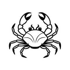crab isolated on white