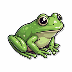 frog vector on white background