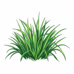 grass flat vector illustration  