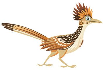 Flat design roadrunner bird vector isolated wildlife animal illustration