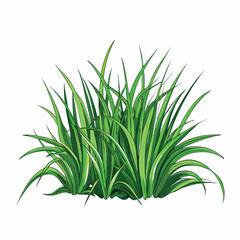 Fototapeta premium 3d grass flat vector illustration grass 