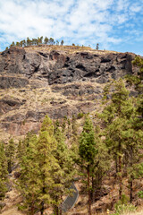 Country road, Island Gran Canaria, Canary Islands, Spain, Europe.