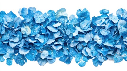 Hydrangea flower petals arranged in a horizontal pattern.