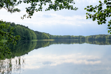 Quiet lakeside forest scene with perfect reflection and overhanging foliage in Poland