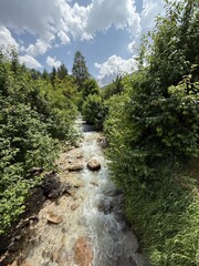 mountain river in the forest
