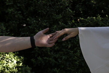 Two hands reaching toward each other in natural light, symbolizing love, connection, and tenderness. Romantic moment captured against a green leafy background.