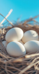 Fresh Eggs Nestled in a Natural Nest