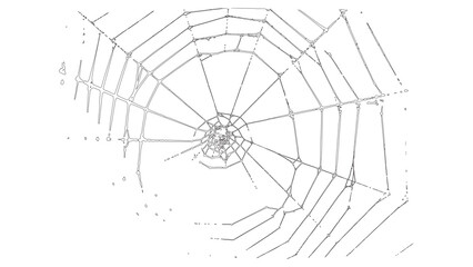 Broken Old Spider Web Minimal Black and White Line Art