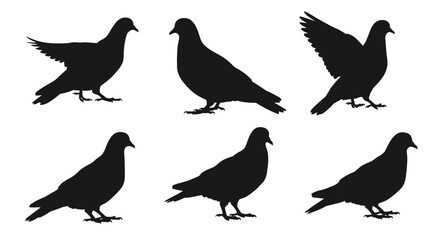 Flying bird silhouettes collection vector illustration