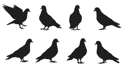 A set of cute cartoon bird silhouettes in various flying designs, including a crow, pigeon, dove, and duck