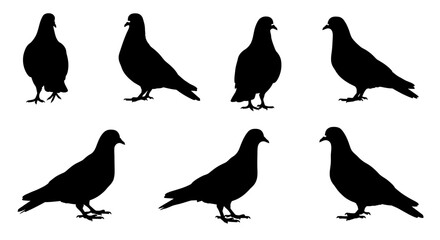 Cute cartoon vector illustration set of flying birds and animal silhouettes