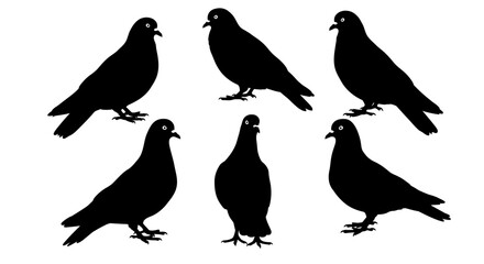 A delightful set of various bird silhouettes, perfect for nature and wildlife designs