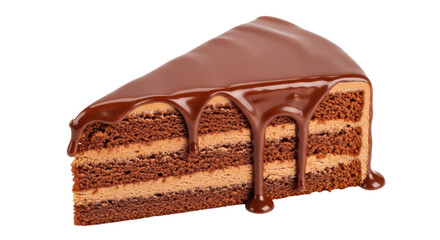 Isolated chocolate cake slice