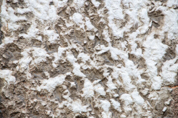 Rough Textured Surface Design with White Patterns and Organic Details