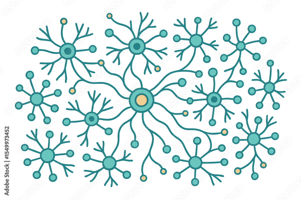 Poster the model of a neuron system, neural net structure, and research on the human nerve network form the