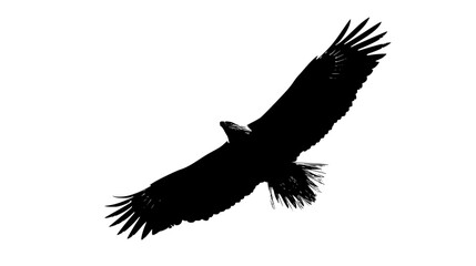 Obraz premium a black silhouette of an eagle flying in the air bird, black, eagle, flight, fly, silhouette, wing , Generative art.