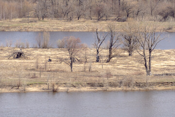Serene landscape featuring a calm river bordered by bare trees and dry grass, creating a tranquil...