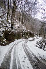 Snow-covered winding road through a forest with bare trees, showcasing tire tracks and footprints,...