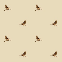 Cute watercolor pattern with birds. nature. Seamless print on light background
