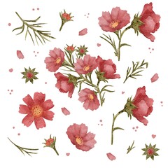 Minimalistic set of watercolor elements. Flowers, bouquet, nature, flora