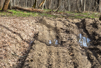 a wet dirt road in the spring season in a wooded area