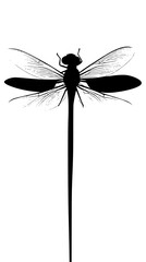 a black silhouette of a dragonfly on a white background black, dragonfly, illustration, insect, silhouette, wing , Generative art.