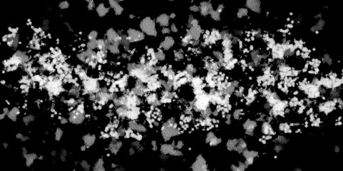 Snowflakes on dark background. white icy snowflakes isolated on black background, natural background. white crystalline powder on a black background. sugar dust. texture, pattern and clipping.