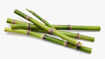 Obraz premium Sugar cane stalks with bright green shades and brown knots lie on a white background. The minimalistic composition emphasizes the naturalness and freshness of this plant.