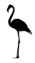 a black and white illustration of a flamingo standing on its hind legs black, flamingo, illustration, leg, silhouette, stand , Generative art.