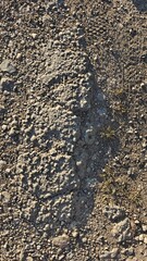 old asphalt road
